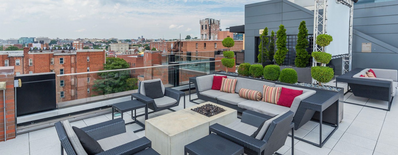 Petfriendly apartments in Washington, DC Louis on 14th